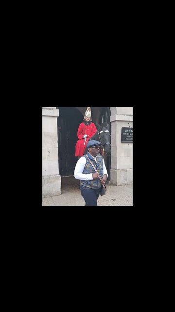 Horse goes for the hand #horseguardsparade