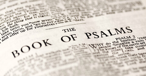 First Bible Study