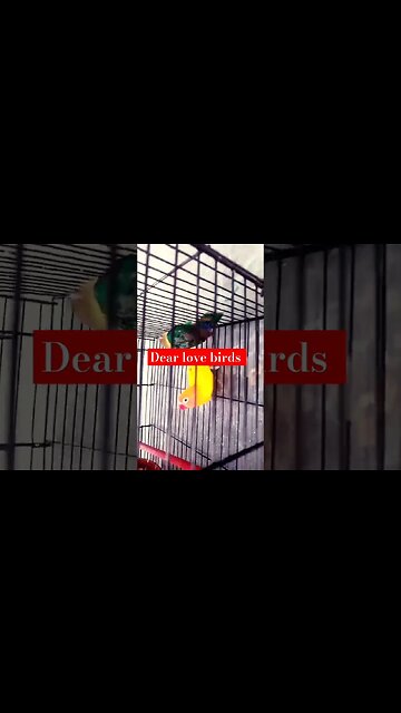 LATINO FISHER AND PARBLUE