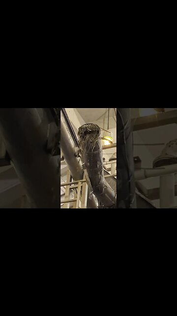 Gross or Satisfying? PLOP! #shorts