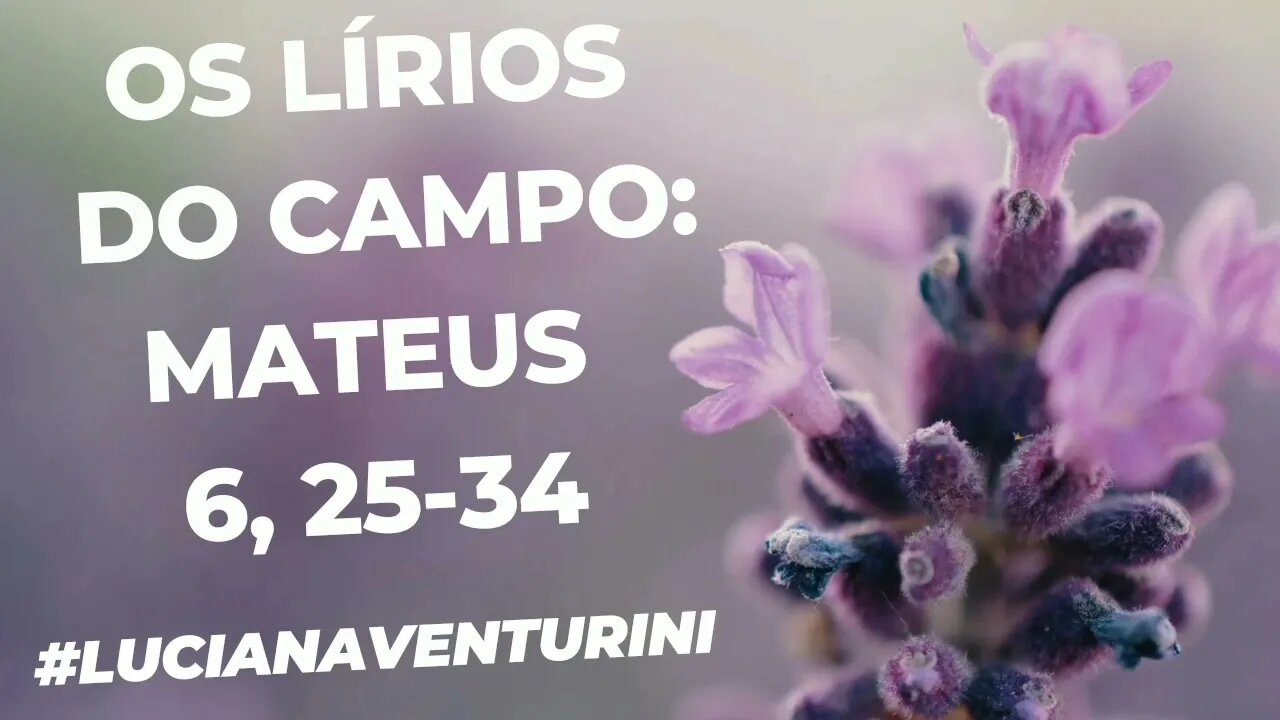 Os lírios do campo: Mateus 6, 25-34 #lucianaventurini #desenvolvimentopessoal #evangelhodemateus