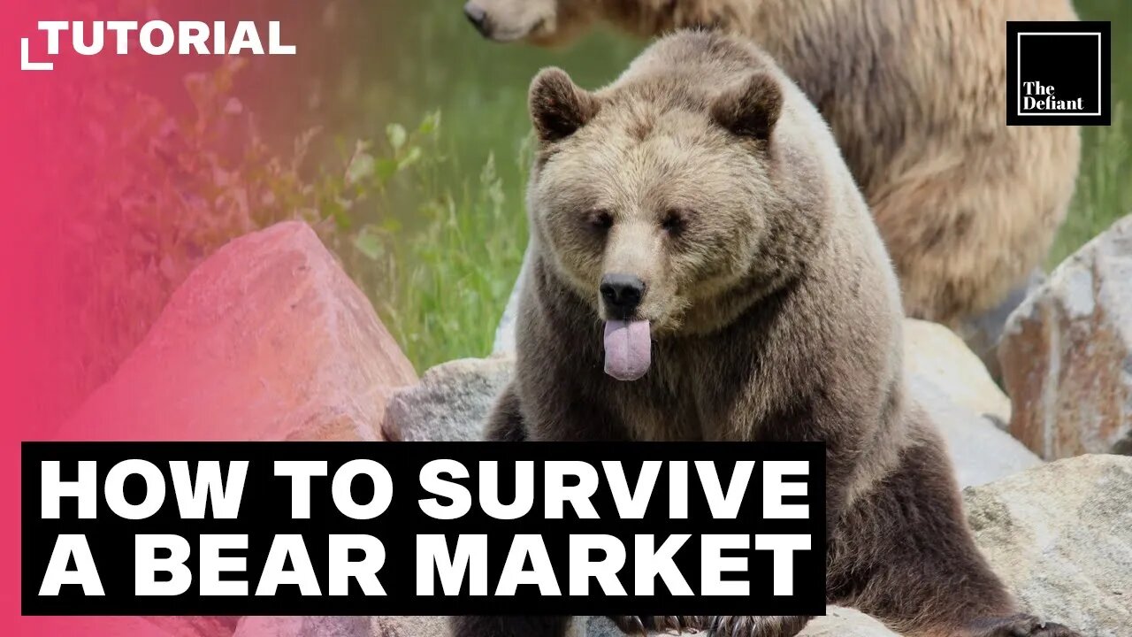 How To Survive A Bear Market