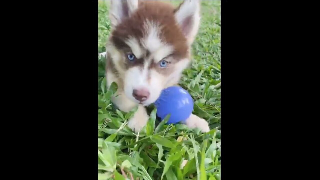 Can You Please come and Play With Me
