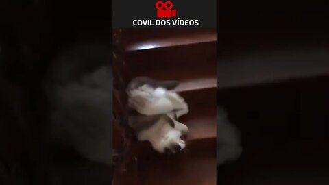 indo trabalhar na segunda