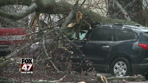 Family trapped inside after tree falls on house