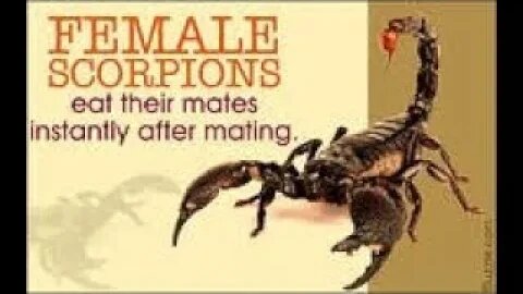 We were SLAVES to SCORPIONS from the PIT ((Undeniable TRUTH - PROOF)) - Jonathan Kleck