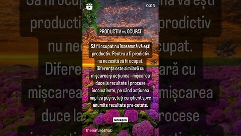 Productiv vs Ocupat