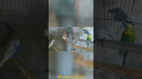 video 20220107 130109 edit