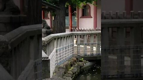 The Japan that no one knows Ueno Shinobazu Pond Benzaiten and its sister Benzaiten sama #shorts
