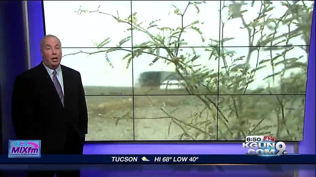 Preparing for upcoming dust storms in Arizona