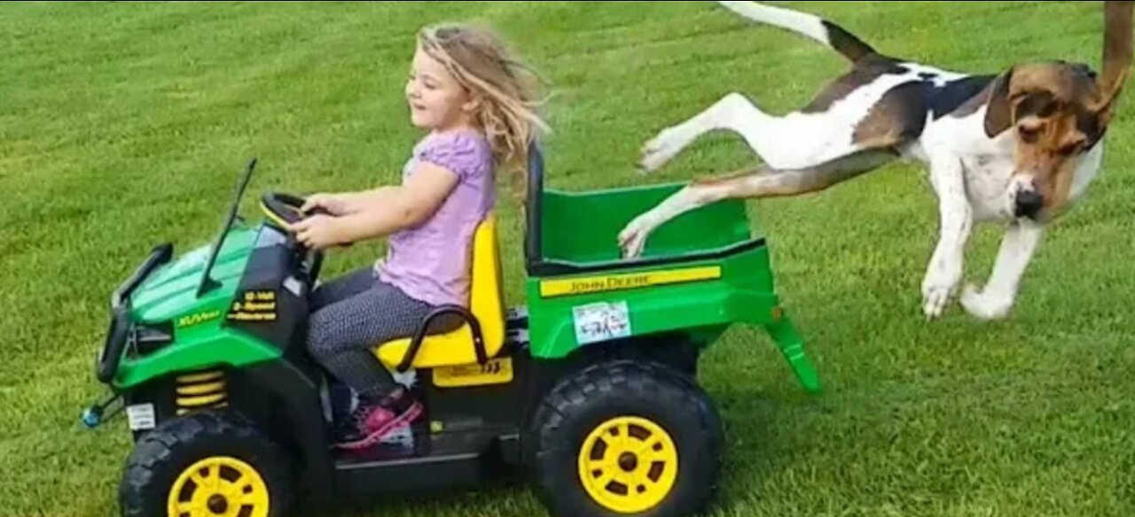 The cute girl suddenly start the toy car and the dog fell down from the car .