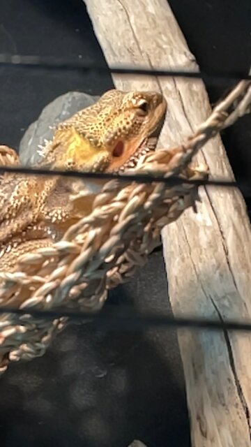 My little man Mr. C!