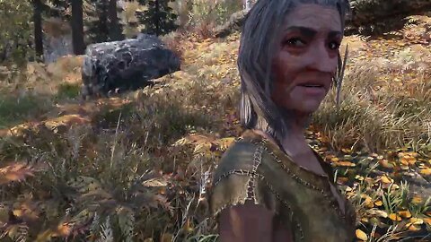 Skyrim SE Ultra Modded Custom Edition, NPCs Can't See Me, but a Crazy Lady Can