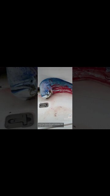 Day 2 enjoying Guatemala 🇬🇹 #shorts