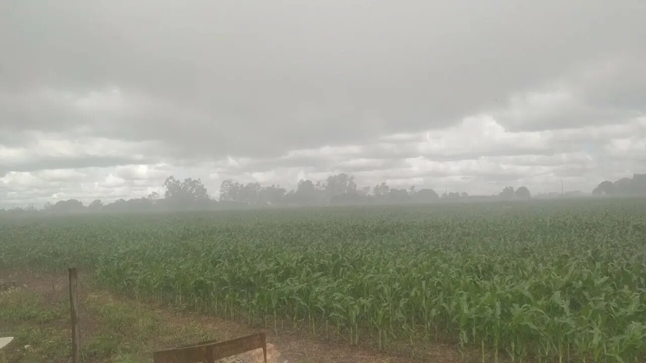 SOL E CHUVA NO MATO GROSSO DO SUL 2023