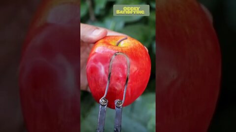 This apple looks so real until you realize it is not.#shorts #oddly #asmr #satisfying