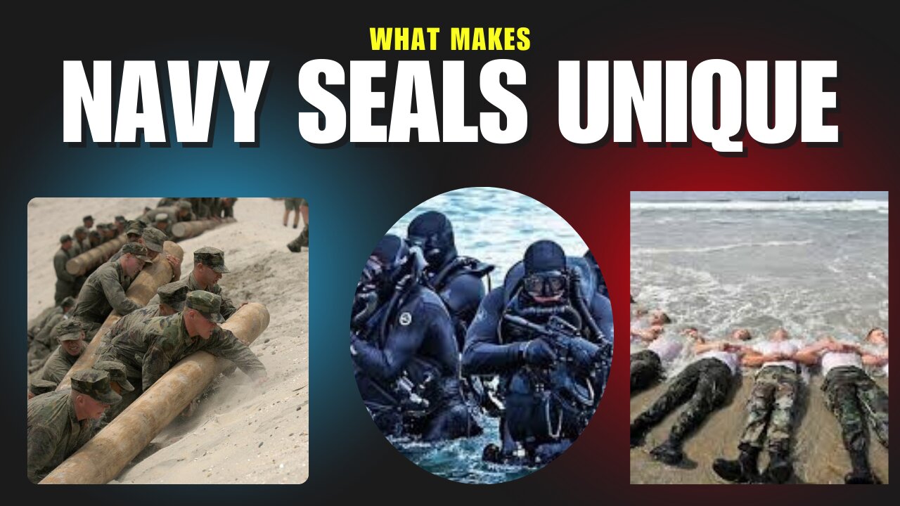 What Makes the Navy SEALs Different and What Other Organizations Should Learn from It