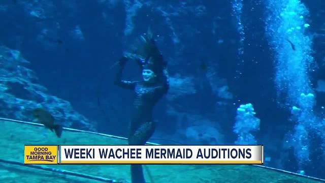 Hundreds to audition to fulfill little girls dream of becoming mermaid