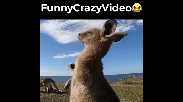 Mr FunnyCrazyVideo😂 Just Incredible Video Funny and Crazy #Like Follow for Follow 🥰