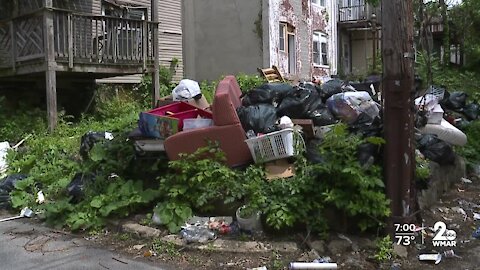 Reaction to Baltimore's increased illegal dumping fine