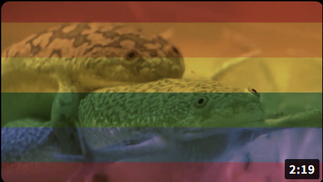 Gay Frogs Are Real: #AlexWasRight