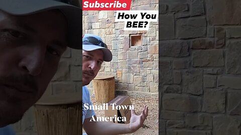 How You Bee? Need To Move some bees Small Town America Get In The Truck #beehive