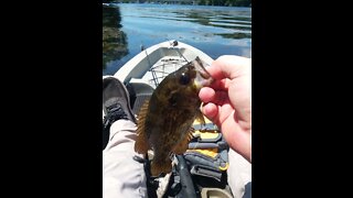 Kayak fishing the river again.