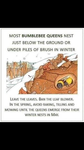 Interesting... Little expensive for my pay grade though...