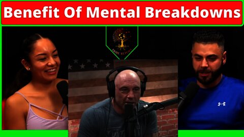 The Benefit of a Mental Breakdown - Joe Rogan & Duncan Trussell Reaction