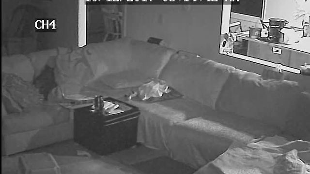 VIDEO: Home surveillance video shows masked man robbing mother while children are asleep