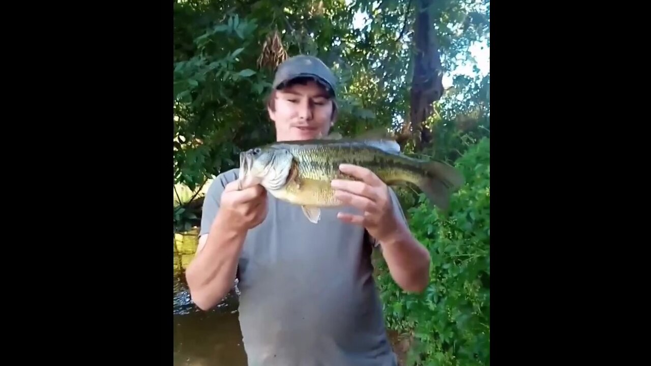 4LB BASS out of a TROUT STREAM