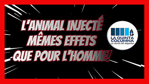 A propos des injections sur les animaux ... "Quinta Columna" (Hd 720)