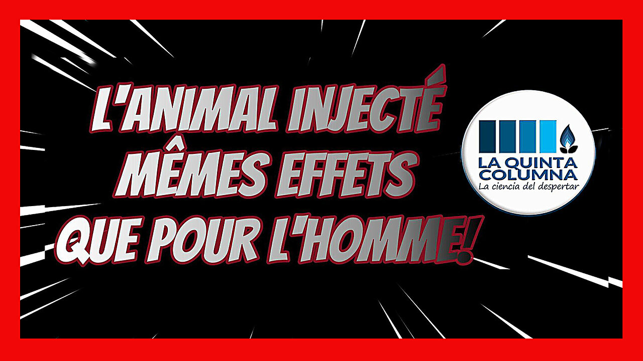 A propos des injections sur les animaux ... "Quinta Columna" (Hd 720)