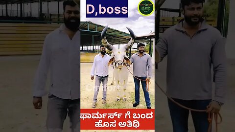 𝐃 𝐛𝐨𝐬𝐬🔥 ಪಾಮ್ ಹೌಸ್ ಗೆ ಬಂದ ಹೊಸ ಅತಿಥಿ |𝐂𝐢𝐧𝐢𝐟𝐨𝐫𝐭 𝐊𝐚𝐧𝐧𝐚𝐝𝐚