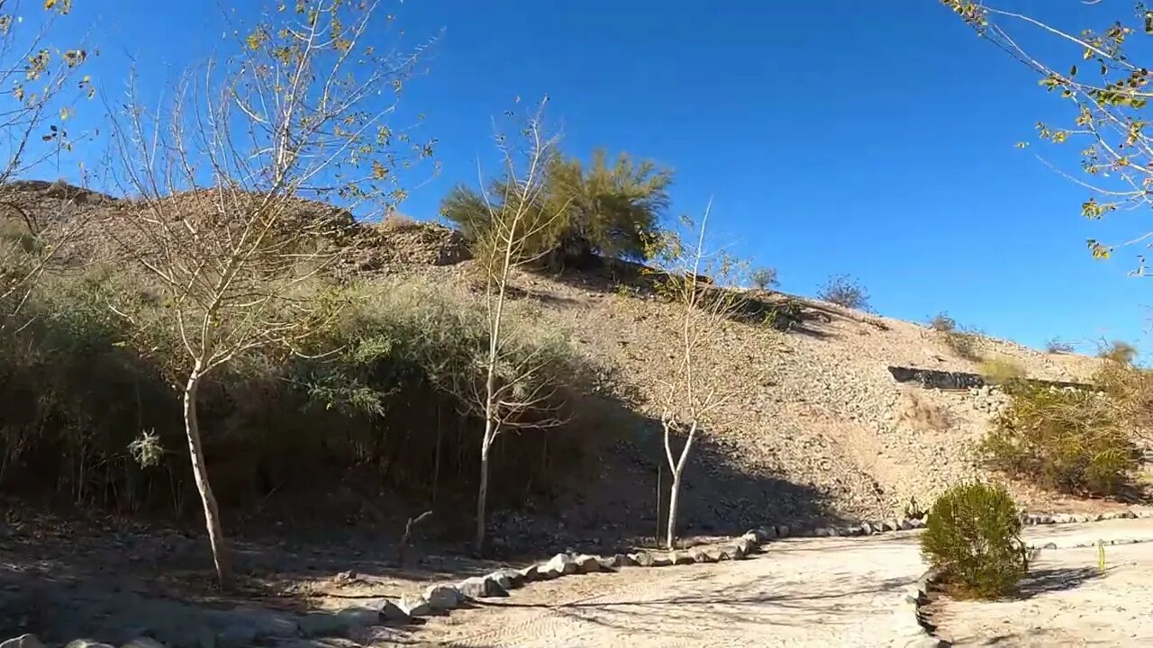 Lake Havasu State Park Arroyo-Camino Interpretive Garden