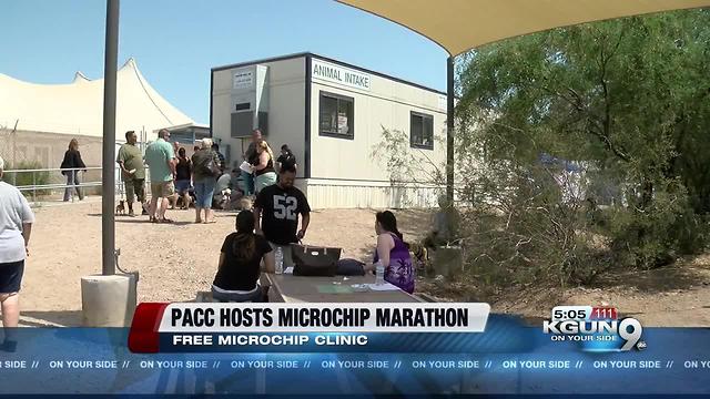 Pima Animal Care Center to host microchip clinic