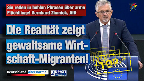 Sie reden in hohlen Phrasen über arme Flüchtlinge! Bernhard Zimniok, AfD