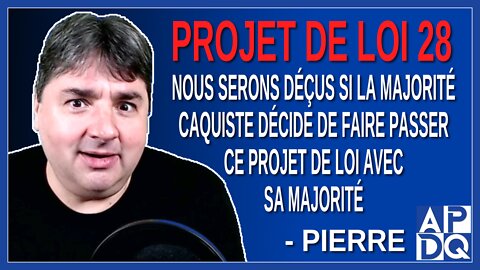 Nous serons déçus si la majorité caquiste décide de faire passer ce projet de loi 28