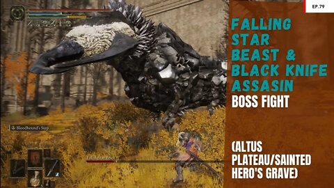 Falling Star Beast & Black Knife Assassin Boss Fight ( Altus Plateau/Sainted Hero's Grave)