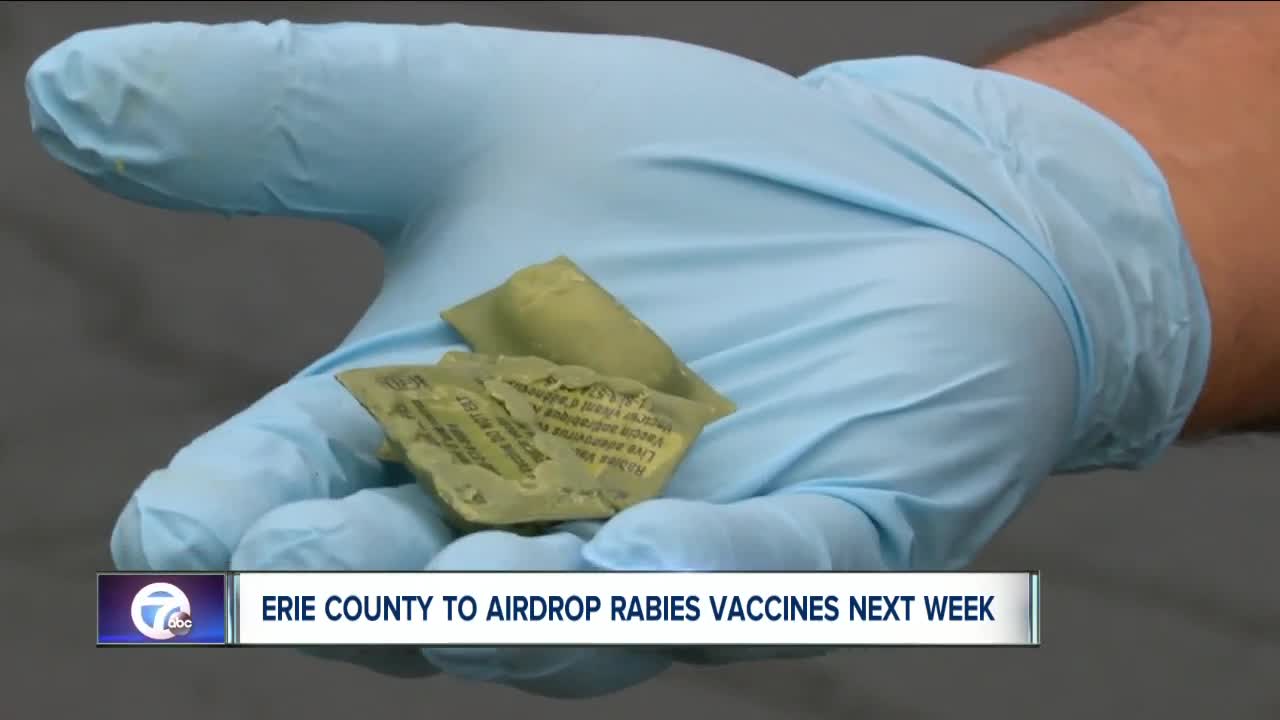 Erie County Department of Health to airdrop rabies vaccines for local wildlife population