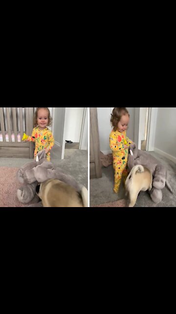 Little Girl With Infectious Giggles Plays With Her Pug