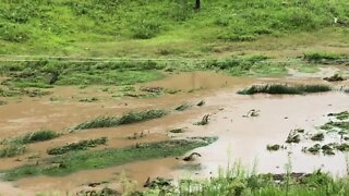 Flood waters: brought down the fence