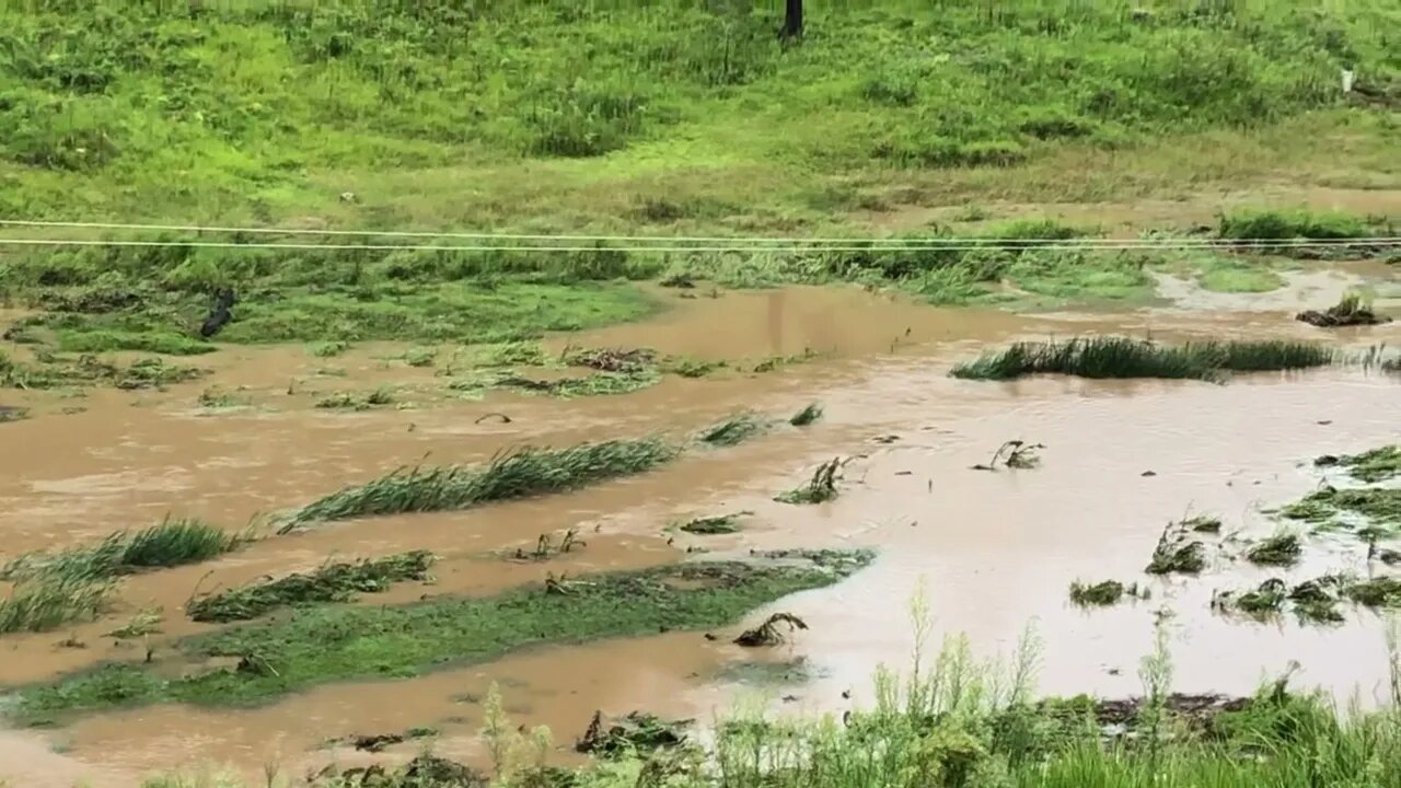 Flood waters: brought down the fence