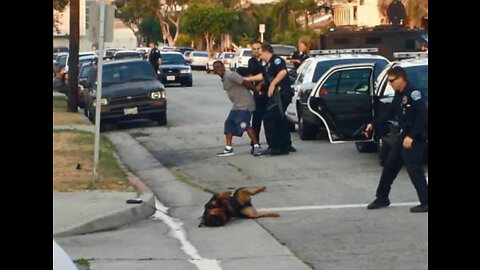 Watch how the American police shocked a dog