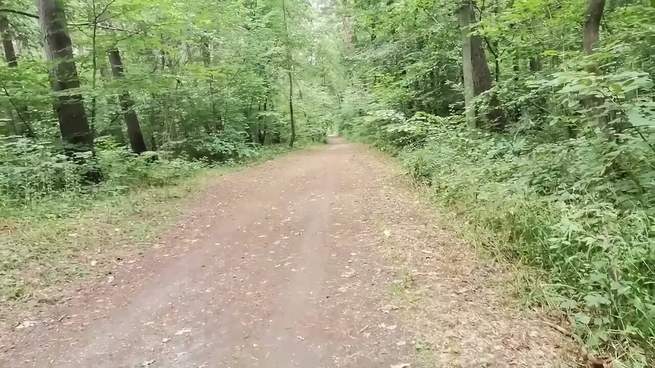 sympatyczni