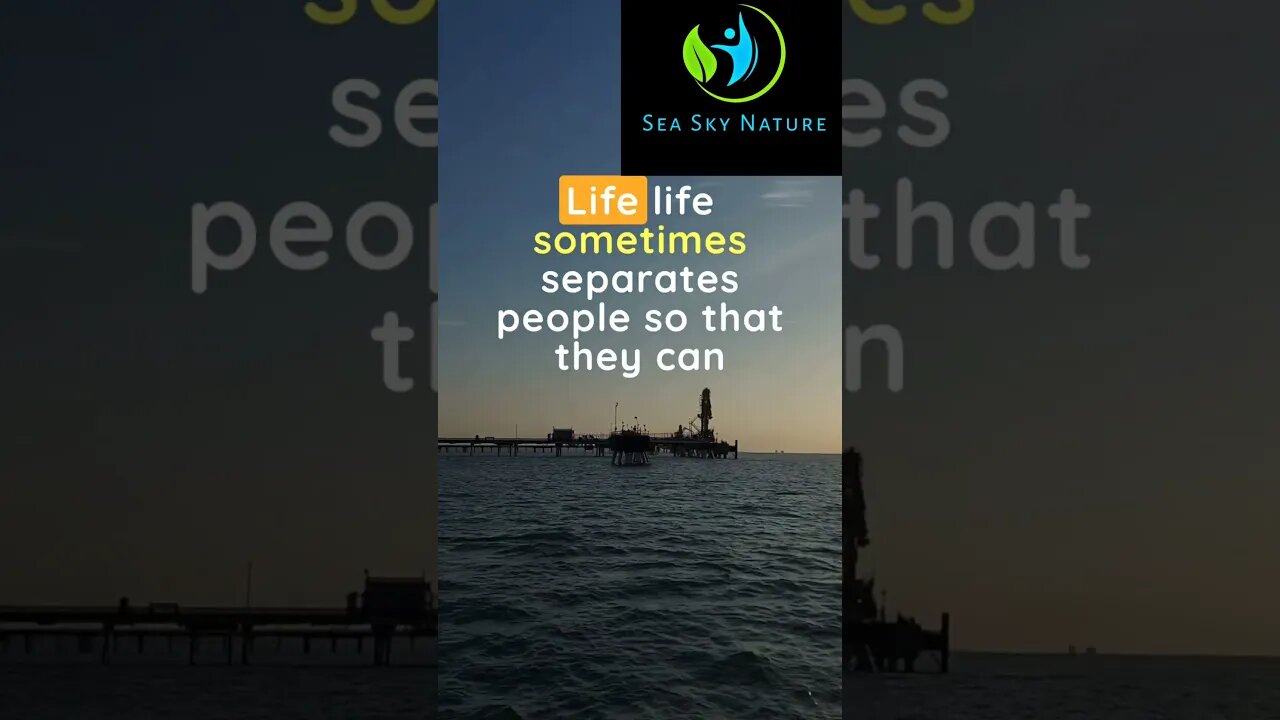 Love Is A Trap | Sea Sky Nature