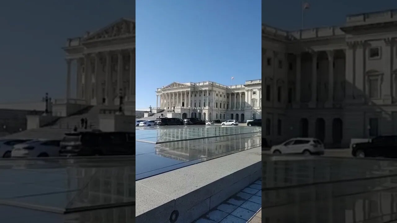 2/9/22 Nancy Drew in DC- Live Video 1- Capitol First Stop- Little Language(One F Bomb)