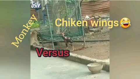 Monkey Vs chiken wings😁😂