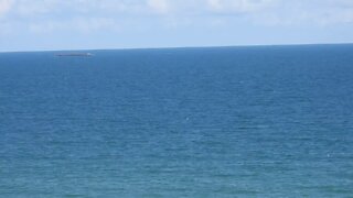 Nikon p950 zoom test on the Ormond beach Florida shore