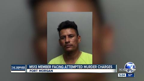 US Marshals: MS-13 gang member stabbed woman, ran her over and tried to put her into car trunk